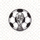 2026年国际足联世界杯(FIFA World Cup 2026)- 官方网站